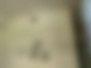 Sr. Gheko's Live Sex Cam Show