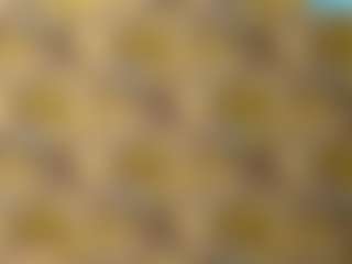 MaribelHechinger's Live Sex Cam Show