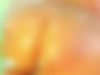 Nina Vega's Live Sex Cam Show
