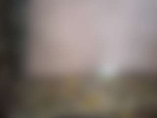 Angiex1's Live Sex Cam Show