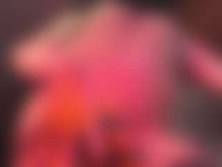 Angellikedoll's Live Sex Cam Show