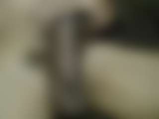 Cam Show en direct de Brezzila