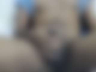 MobbyyDick's Live Sex Cam Show