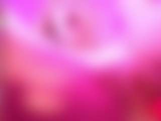 Laia_xprice