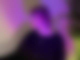 Live cam show with Megg-bb - Gorgeous on AdultVida.com