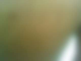 spiguel5224's Live Sex Cam Show