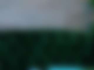 Live cam show with Avelynee - Moaning on mypornchat.com
