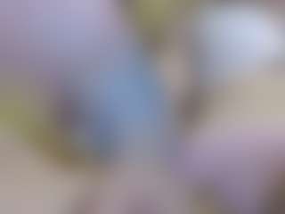 Angie792h's Live Sex Cam Show