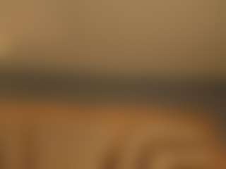 Spettacolo in cam dal vivo con ScarlethTini - BBW College su Camsoda