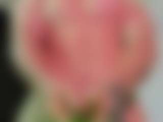 Erenjeager07's Live Sex Cam Show