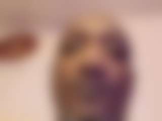 HugeCock Ent's Live Sex Cam Show