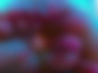 SrBonnyEthan's Live Sex Cam Show