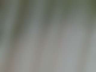 Cam Show en direct de ander-montoyaa