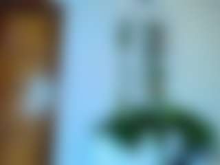 Live cam show with Vexxaa - White on Livezox | colombia