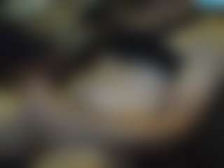 Ajax1606's Live Sex Cam Show