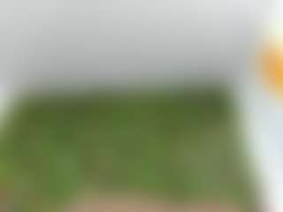 SofiiaCute1's Live Sex Cam Show