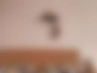 Spettacolo in cam dal vivo con LadyDianna - Ass Clapping su Camsoda