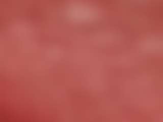 lily-blossom's Live Sex Cam Show