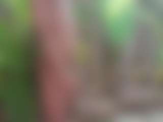 Show de cam sexual en vivo de Outdoorgaysex