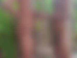 Outdoorgaysex's Live Sex Cam Show