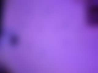 Live cam show with Flora - Japanese on Strip Flash - Live Sex Shows | united states