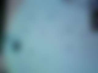 Live cam show with Flora - African on Camsoda | united states