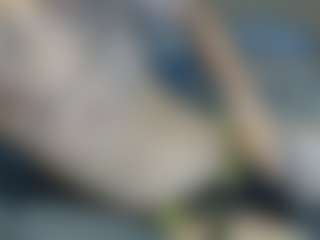 Skibbystrips's Live Sex Cam Show