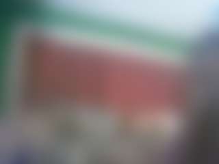 hippie333star's Live Sex Cam Show