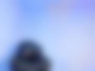 Cam Show en direct de skiper-monsteercock1
