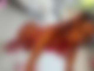 ANIE's Live Sex Cam Show