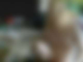 AssKitten's Live Sex Cam Show