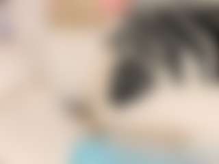 Maryelle's Live Sex Cam Show