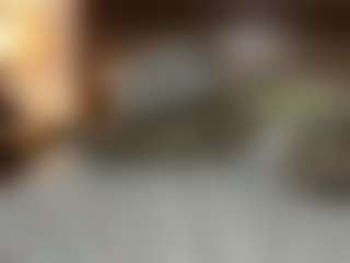 Live cam show with sophiamfgrace - Hairy Pussy on crypto-cams