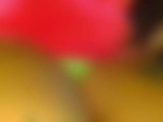 Live cam show with CustomerService - Blue Eyes on sexylive.show
