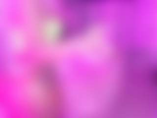 Katt Leya's Live Sex Cam Show