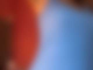 Katt Leya's Live Sex Cam Show