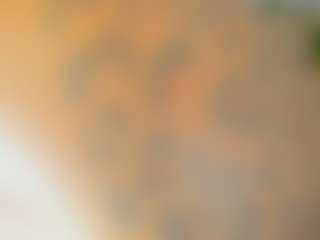 shantal's Live Sex Cam Show