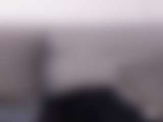 Live cam show with hannawilliams - Shaved Pussy Latina on EXY | colombia