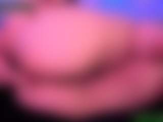 Live cam show with Lisha - Solo on Free Soda