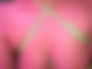 Lisha's Live Sex Cam Show