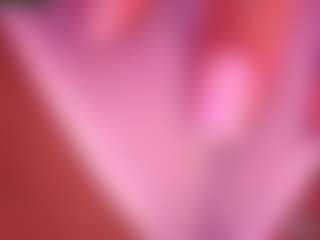Lisha's Live Sex Cam Show