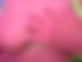 Lisha's Live Sex Cam Show