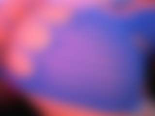 Lisha's Live Sex Cam Show
