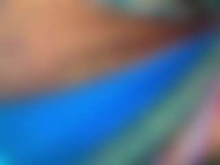Eli Grey's Live Sex Cam Show