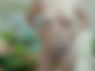 joyfuluntamed's Live Sex Cam Show