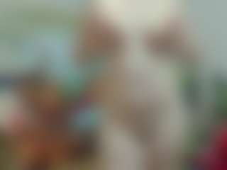 joyfuluntamed's Live Sex Cam Show