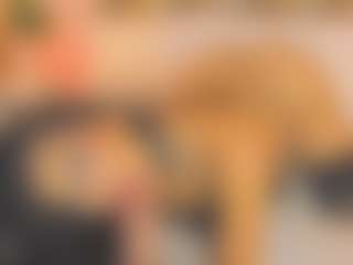 Malaia Hills's Live Sex Cam Show