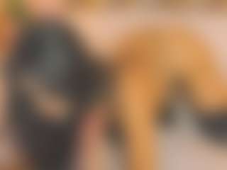 Malaia Hills's Live Sex Cam Show