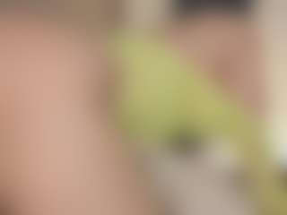 ginaakemi's Live Sex Cam Show