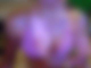 Kotogal's Live Sex Cam Show